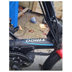 Hase Bikes Electric Assist Trigo